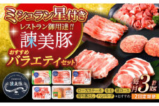 【2回定期便】＜米で育てた＞諫美豚おすすめバラエティセット3kg / 豚肉 ぶたにく 豚 ポーク 肩ロース ステーキ モモ 切り落とし ハンバーグ ロースステーキ パック 小分け / 諫早市 / 株式会社土井農場 [AHAD001]