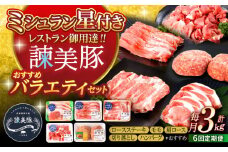 【6回定期便】諫美豚おすすめバラエティセット3kg / 諫美豚 豚肉 肩ロース ステーキ モモ 切り落とし ハンバーグ ロースステーキ / 諫早市 / 株式会社土井農場 [AHAD005]