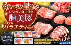 【12回定期便】諫美豚おすすめバラエティセット3kg / 諫美豚 豚肉 肩ロース ステーキ モモ 切り落とし ハンバーグ ロースステーキ / 諫早市 / 株式会社土井農場 [AHAD011]