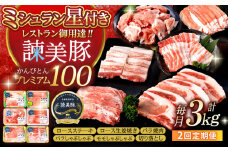 【2回定期便】諫早平野の米で育てた諫美豚プレミアム100お勧めセット3kg / 諫美豚 豚肉 肩ロース ステーキ モモ 切り落とし ハンバーグ ロースステーキ / 諫早市 / 株式会社土井農場 [AHAD023]