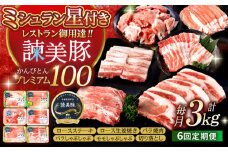 【6回定期便】諫早平野の米で育てた諫美豚プレミアム100お勧めセット3kg / 諫美豚 豚肉 肩ロース ステーキ モモ 切り落とし ハンバーグ ロースステーキ / 諫早市 / 株式会社土井農場 [AHAD027]
