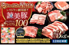 【12回定期便】＜米で育てた＞諫美豚プレミアム100おすすめセット3kg / 豚肉 ぶたにく 豚 ポーク 肩ロース ステーキ モモ 切り落とし ハンバーグ ロースステーキ パック 小分け/ 諫早市 / 株式会社土井農場 [AHAD033]