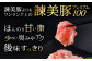 諫早平野の米で育てた諫美豚プレミアム100お勧めセット3kg