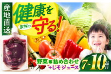 野菜・果物・きのこ詰め合わせ 7〜10品目 / 野菜 やさい 果物 くだもの フルーツ ふるーつ きのこ 旬 新鮮 セット / 諫早市 / 松尾農園 [AHAY002]