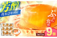 長崎特産「茂木びわゼリー」(9個入り) / びわゼリー ゼリー びわ ビワ 枇杷 / 諫早市 / 橋本屋本舗 [AHCP004]