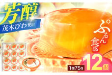 長崎特産「茂木びわゼリー」(12個入り) / びわゼリー ゼリー びわ ビワ 枇杷 / 諫早市 / 橋本屋本舗 [AHCP001]