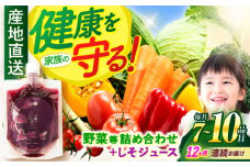 【全12回定期便】野菜・果物・きのこ詰め合わせ 7〜10品目 / 野菜 やさい 果物 くだもの フルーツ ふるーつ きのこ 旬 新鮮 セット / 諫早市 / 松尾農園 [AHAY016]