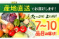 野菜 果物 きのこ 詰め合わせ 7〜10品目 旬 新鮮 セット