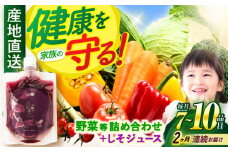 【全2回定期便】野菜・果物・きのこ詰め合わせ 7〜10品目 / 野菜 やさい 果物 くだもの フルーツ ふるーつ きのこ 旬 新鮮 セット / 諫早市 / 松尾農園 [AHAY006]
