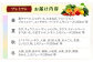 【プレミアム】 野菜 果物 きのこ 詰め合わせ 7〜10品目 旬 新鮮 セット