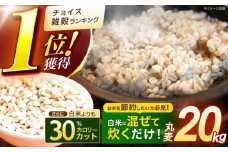 【最速発送】 丸麦 (長崎県産) 20kg / 麦 むぎ 雑穀 雑穀米 麦ごはん 麦みそ 麦味噌 食物繊維 長崎県産 米 こめ コメ ※ / 諫早市 / 有限会社伊東精麦 [AHBU001]   最速 最短 スピード 発送