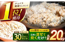 【最速発送】 丸麦 (長崎県産) 20kg / 麦 むぎ 雑穀 雑穀米 麦ごはん 麦みそ 麦味噌 食物繊維 長崎県産 米 こめ コメ ※ / 諫早市 / 有限会社伊東精麦 [AHBU001]   最速 最短 スピード 発送