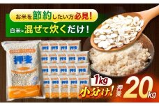 【最速発送】押麦「長崎御島」1kg×20袋 計20kg / 押麦 押し麦 はだか麦 麦ごはん 雑穀 雑穀米 長崎県産 米 こめ コメ ※ / 諫早市 / 有限会社伊東精麦 [AHBU003]   最速 最短 スピード 発送