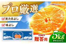 ※【2025年11月発送分／先行予約】伊木力みかん 「はなまるみかん」（贈答用）5kg / みかん 蜜柑 ミカン 柑橘 フルーツ ふるーつ 果物 くだもの / 諫早市 / 株式会社山野果樹園 [AHCF003]