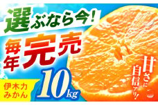 ※【2025年10月発送分／先行予約】《伊木力みかん》家庭用みかん 10kg / みかん ミカン 蜜柑 フルーツ ふるーつ 果物 くだもの いきりき / 諫早市 / 山野果樹園 [AHCF001]
