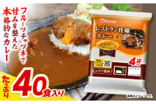 【小分け】【内袋のままレンジ調理可】日本ハム レストラン仕様カレー甘口10パックセット(1パック4袋入り)計40食分/ カレー かれー レトルト 牛肉 小分け / 諫早市 / 日本ハムマーケティング株式会社 [AHAL004]