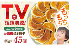 大容量 焼き餃子 45ヶ / ギョウザ ぎょうざ 餃子 焼餃子 冷凍 / 諫早市 / 餃子のかわしも [AHBM003]