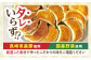 TVで話題沸騰 ニンニク不使用 大容量 冷凍 焼き餃子 35g×45ヶ