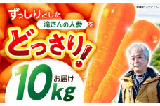 ※【2025年11月発送分／先行予約】滝さんの人参 10kg / にんじん ニンジン 人参 やさい 野菜 にんじんジュース 人参ジュース ニンジンジュース キャロット キャロットジュース / 諫早市 / 滝商店株式会社 [AHCU001] 