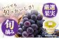 たらみ PURE 厳選果実ゼリー ぶどう 6個 ゼリー フルーツゼリー 果実ゼリー 果物 フルーツ