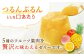 たらみ PURE ミックス 6個  ゼリー ぜりー フルーツゼリー 果物 フルーツ くだもの