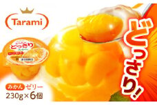 【最速発送】たらみのどっさり みかん 230g (1箱 6個入) / ゼリー ぜりー フルーツゼリー 果実ゼリー 果物 フルーツ ふるーつ くだもの / 諫早市 / 株式会社たらみ [AHBR014]  最速 最短 スピード 発送