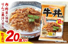 【小分け】日本ハム 牛丼の具10パックセット(1パック2袋入)計20食分/ 牛肉 牛丼 牛どん レトルト レトルト牛丼 小分け / 諫早市 / 日本ハムマーケティング株式会社 [AHAL010]