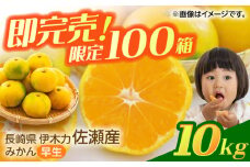 伊木力佐瀬みかん（早生）10kg（混合サイズ：S〜L）/ みかん ミカン 蜜柑 フルーツ 果物 / 諫早市 / 山田果樹園 [AHAJ001]
