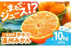 ※【2026年(令和8年)1月発送分／先行予約】伊木力温州みかん 10kg（ご家庭用）/ みかん ミカン 蜜柑 みかんジュース フルーツ 果物 / 諫早市 / 末永果樹園 [AHBD001]