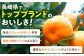 みかん ミカン 蜜柑 みかんジュース フルーツ 果物