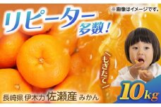 伊木力佐瀬みかん 10kg（混合サイズ：S〜L）/ みかん ミカン 蜜柑 フルーツ 果物 / 諫早市 / 山田果樹園 [AHAJ002]