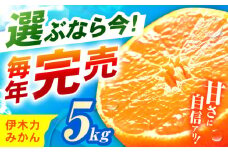 ※【2025年10月発送分／先行予約】《伊木力みかん》家庭用みかん 5kg / みかん ミカン 蜜柑 フルーツ ふるーつ 果物 くだもの いきりき / 諫早市 / 山野果樹園 [AHCF002]
