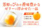 びわ ビワ 枇杷 ビワゼリー びわゼリー 枇杷ゼリー ゼリー