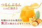 たらみ PURE びわ 270g36個セット / ゼリー びわ フルーツゼリー 果実ゼリー 果物