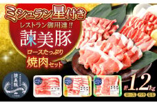 諫美豚焼肉セット計1.2kg / 豚肉 ぶたにく ロース バラ モモ 焼肉 小分け / 諫早市 / 株式会社土井農場 [AHAD057]