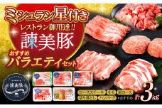 諫美豚バラエティセット計3kg / ロースステーキ モモ 肩ロース 切り落とし ハンバーグ / 豚 豚肉 ロース ステーキ 切り落とし 小分け / 諫早市 / 株式会社土井農場 [AHAD050]
