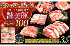 諫美豚プレミアム3kg / 豚肉 ぶたにく ロースステーキ ロース バラ モモ 切り落とし しゃぶしゃぶ 焼肉 冷凍 小分け 食べ比べ / 諫早市 / 株式会社土井農場 [AHAD054]