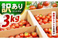 【訳あり】 ミニトマト3kg / 訳あり 訳アリ ミニトマト プチトマト トマト とまと 野菜 やさい / 諫早市 / 原農園 [AHCZ001]