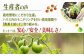 訳あり 訳アリ ミニトマト プチトマト トマト とまと 野菜 やさい リコピン 長崎県産