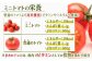 訳あり 訳アリ ミニトマト プチトマト トマト とまと 野菜 やさい リコピン 長崎県産