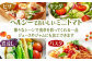 訳あり 訳アリ ミニトマト プチトマト トマト とまと 野菜 やさい リコピン 長崎県産