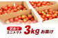 訳あり 訳アリ ミニトマト プチトマト トマト とまと 野菜 やさい リコピン 長崎県産
