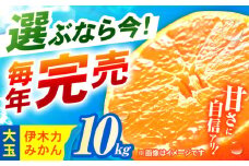 ※【2025年11月発送分／先行予約】伊木力みかん（大玉）10kg / みかん ミカン 蜜柑 柑橘 フルーツ ふるーつ 果物 くだもの / 諫早市 / 山野果樹園 [AHCF005]
