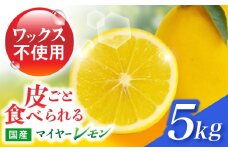 ※【2025年11月発送分／先行予約】マイヤーレモン 5kg / レモン れもん 檸檬 柑橘 フルーツ ふるーつ 果物 くだもの / 諫早市 / 山野果樹園 [AHCF004]