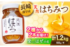 長崎県産天然はちみつ600g(2本セット) / 百花蜜 百花蜂蜜 蜂蜜 はちみつ ハチミツ / 諫早市 / 坂口養蜂 [AHDB001]