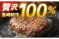 和牛 長崎和牛 ハンバーグ はんばーぐ 小分け
