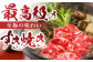 長崎県産 長崎和牛 牛肉 和牛 牛 切り落とし