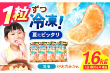 ※【2025年11月発送分／先行予約】冷凍 伊木力みかん 400g×4袋 計1.6kg / みかん ミカン 蜜柑 冷凍みかん 冷凍 果物 くだもの フルーツ / 諫早市 / 山野果樹園 [AHCF006]