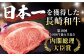 長崎県産 長崎和牛 牛肉 和牛 牛 サーロイン 霜降り  A5ランク ステーキ 鉄板焼き