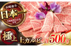 焼肉 上 カルビ 500g / 長崎和牛 A4～A5ランク キャンプ BBQ バーベキュー / 諫早市 / 野中精肉店 [AHCW051]